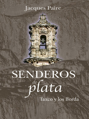 cover image of SENDEROS DE PLATA